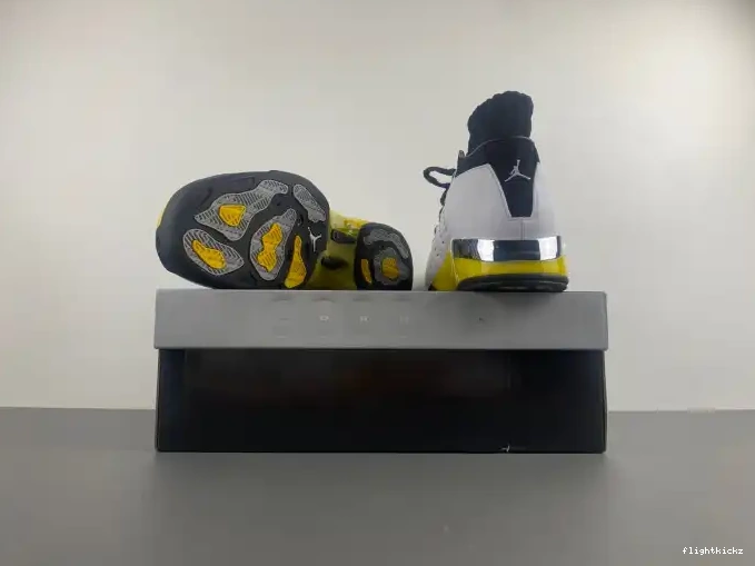 Low 17 Air Jordan FJ0395-100 Lightning 0620